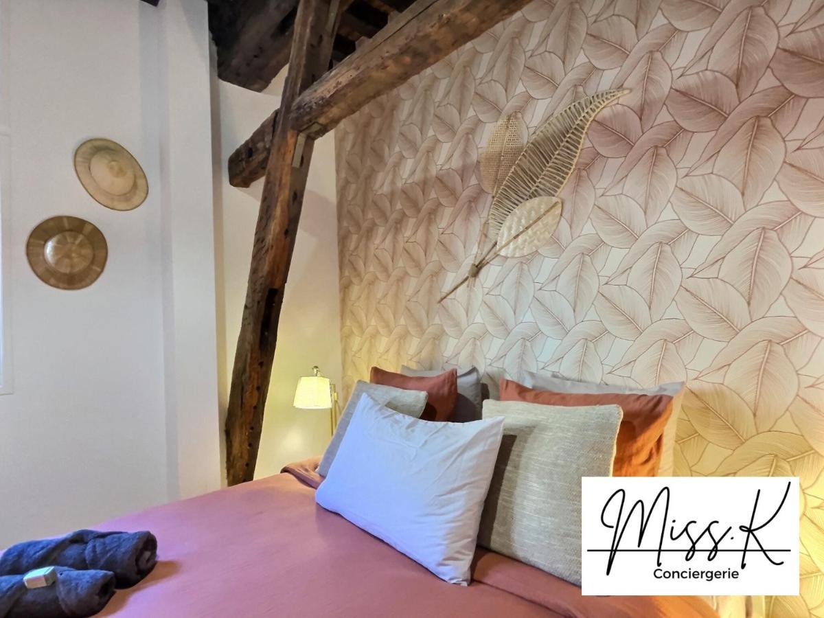 "La Fenetre Sur Le Marche" De Miss.K Conciergerie Apartment Châtillon-sur-Chalaronne Exterior photo